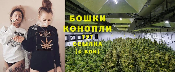 гашик Белоозёрский