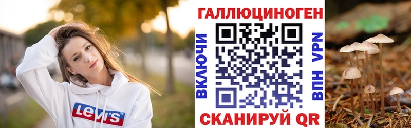 блэк спрут tor  Кольчугино  Псилоцибиновые грибы Cubensis 
